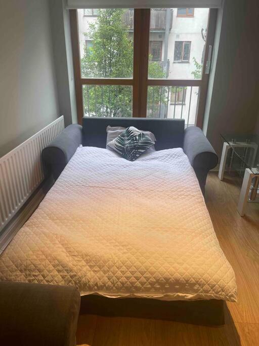 In Dublin'S Best Tourist Spot Temple Bar Fully Renovated Εξωτερικό φωτογραφία